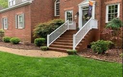 image of plant in landscape