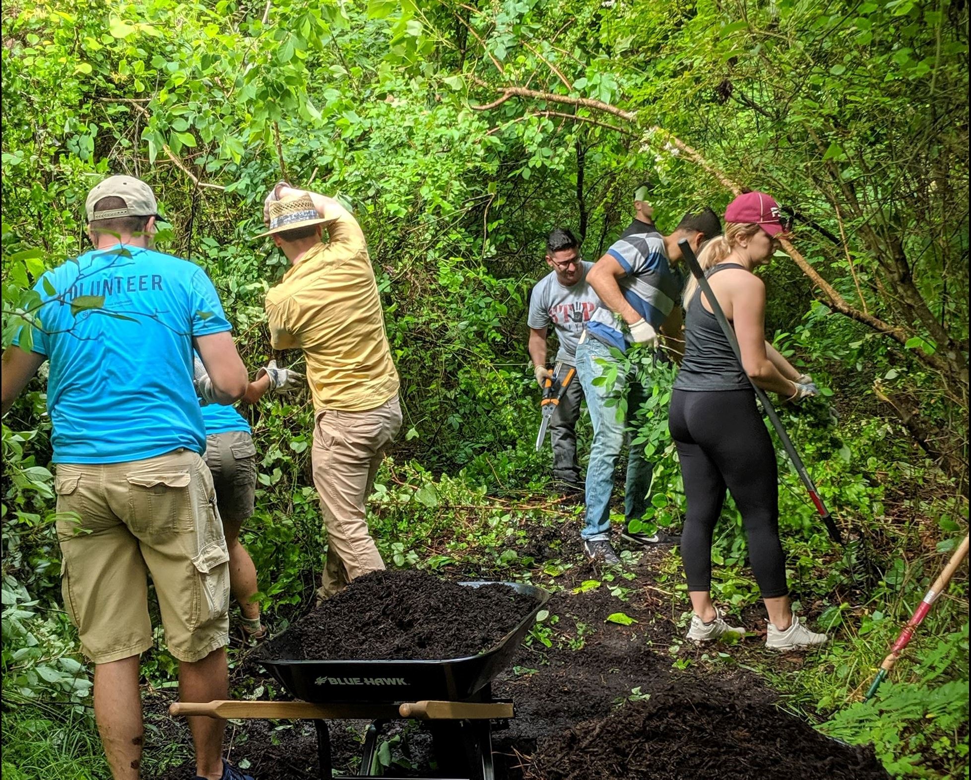 Trail Mulching Cleanup