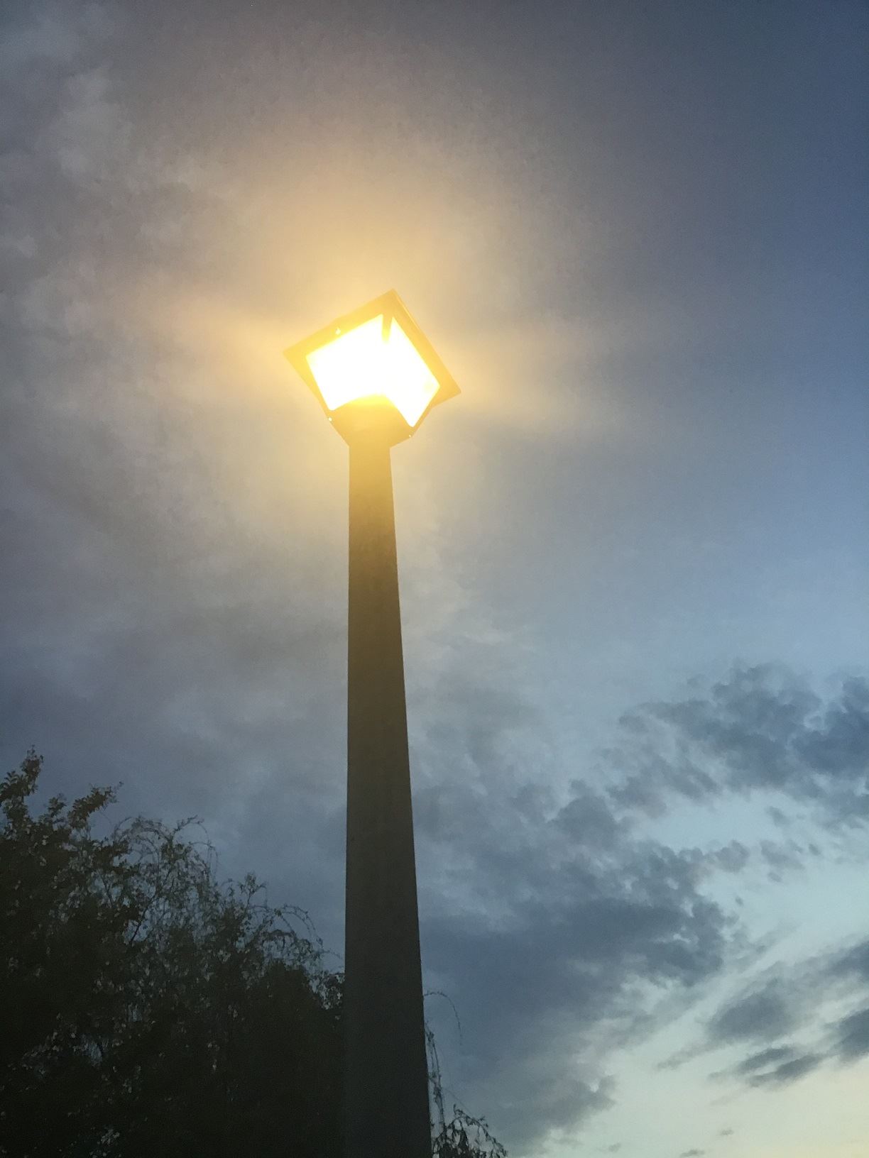 A Public Streetlight, illuminated at dusk.