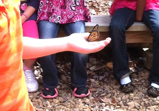 Childs hand held out with butterfly resting